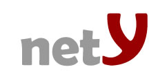 nety website solutions